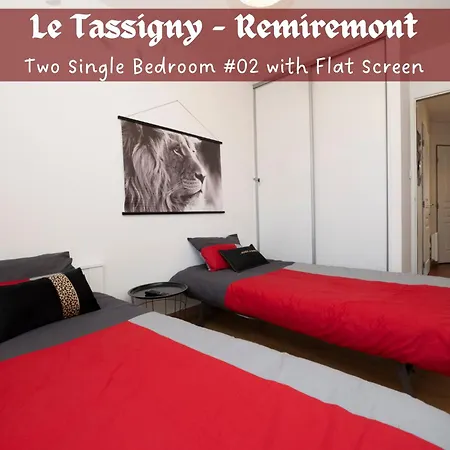 Le Tassigny 3 Etoiles - Hyper-centre Balneo Wifi Parking רמירמון