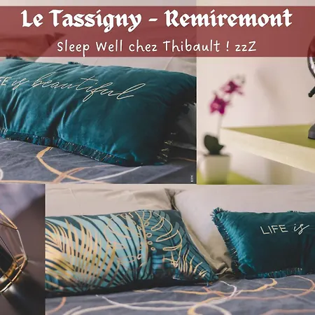 Le Tassigny 3 Etoiles - Hyper-centre Balneo Wifi Parking * Remiremont