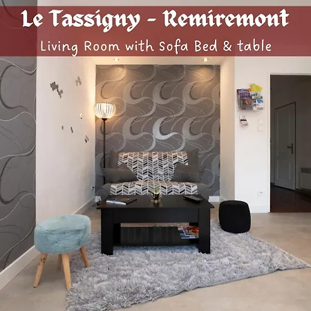 Le Tassigny 3 Etoiles - Hyper-centre Balneo Wifi Parking דירה רמירמון