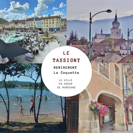 Le Tassigny 3 Etoiles - Hyper-centre Balneo Wifi Parking Remiremont